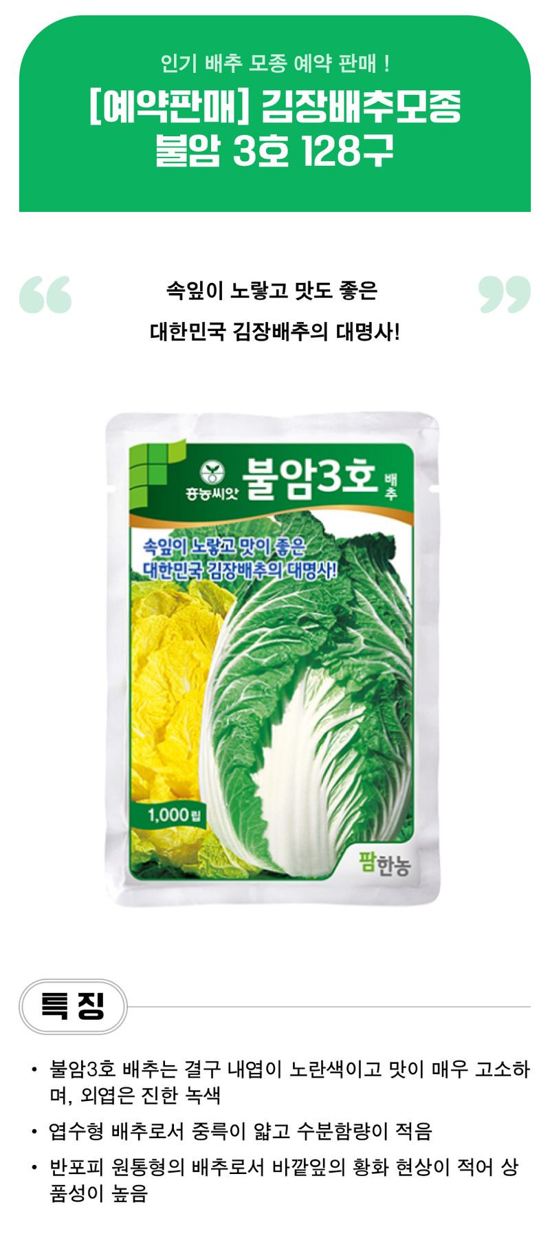 팜모닝 상점님의 장터 판매 상품 [불암 3호 김장배추모종 128구] 첨부 사진