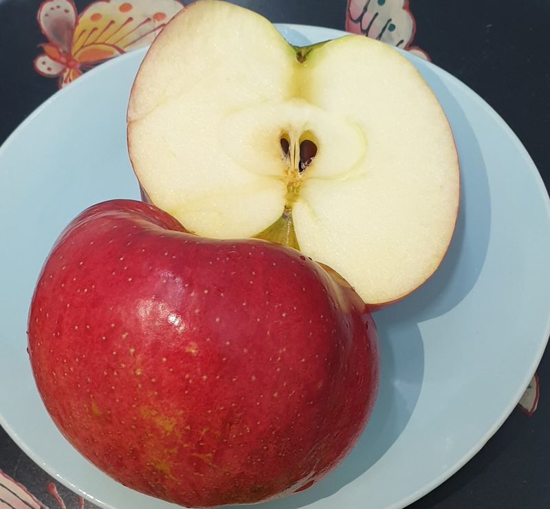 호랑이와인성이님의 장터 판매 상품 [봉화 사과즙 ] 첨부 사진