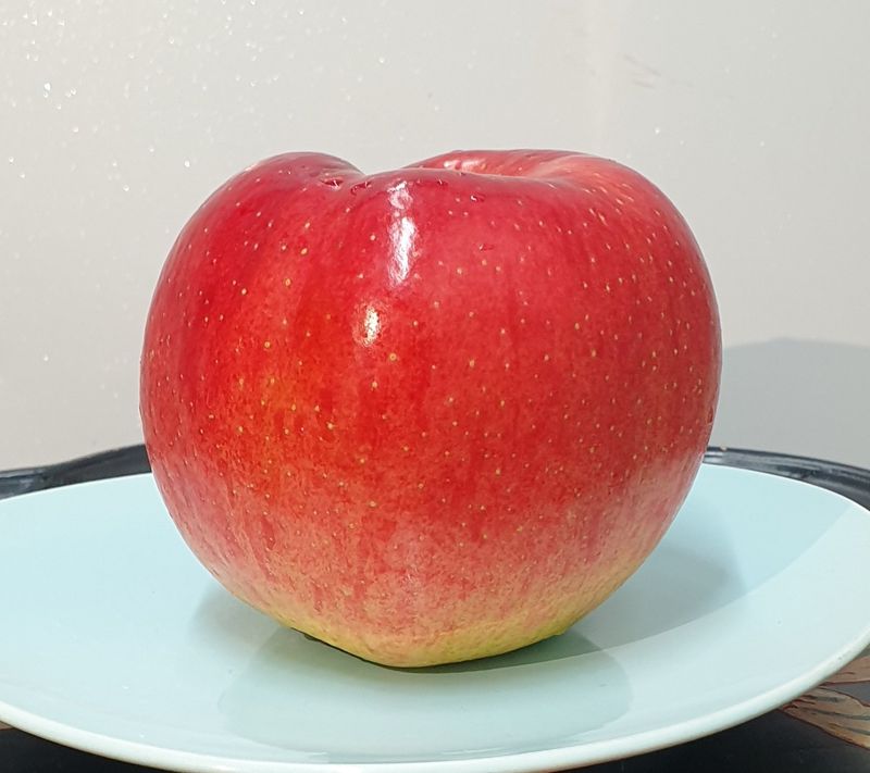 호랑이와인성이님의 장터 판매 상품 [봉화 사과즙 ] 첨부 사진