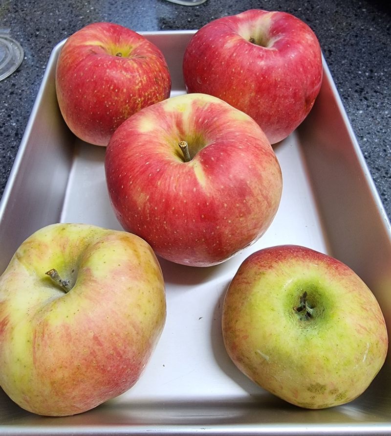 호랑이와인성이님의 장터 판매 상품 [봉화 사과즙 ] 첨부 사진