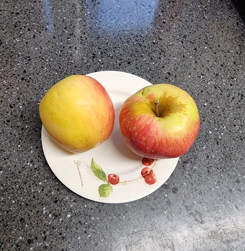 호랑이와인성이님의 장터 판매 상품 [봉화 사과즙 ] 첨부 사진