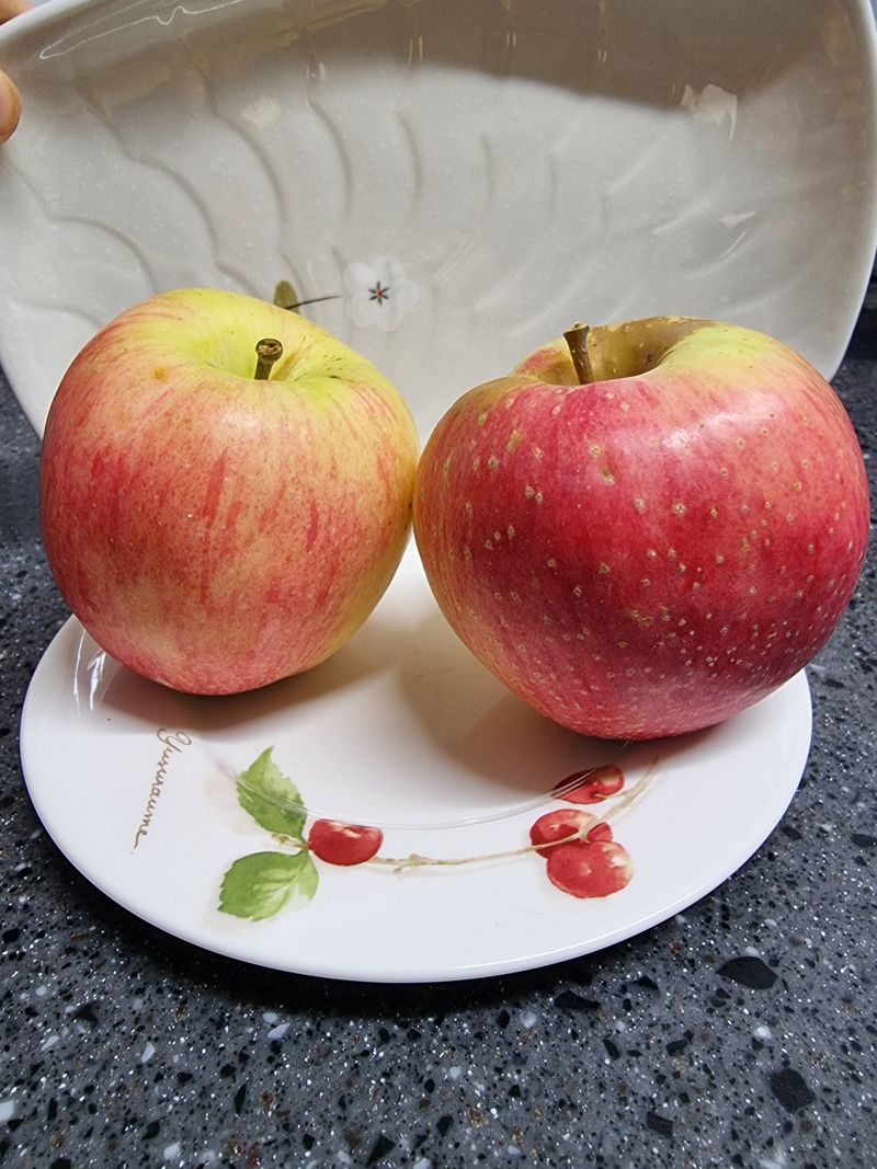 호랑이와인성이님의 장터 판매 상품 [봉화 사과즙 ] 첨부 사진