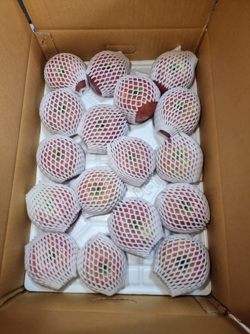 호랑이와인성이님의 장터 판매 상품 [봉화 사과즙 ] 첨부 사진