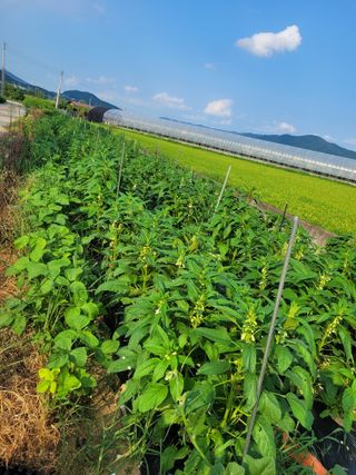찬균park님의 자유주제 · 자유게시판 작성글 사진