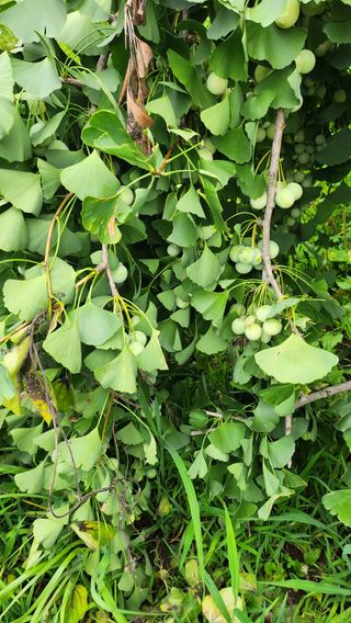 ogapiall님의 자유주제 · 자유게시판 작성글 사진