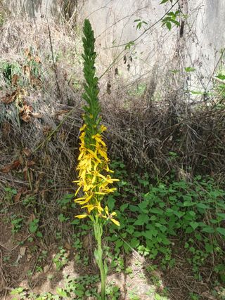 다 자급자족님의 자유주제 · 자유게시판 작성글 사진