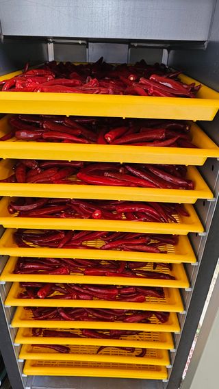 홍두표 님의 자유주제 · 자유게시판 작성글 사진