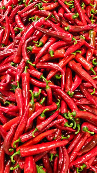 홍두표 님의 자유주제 · 자유게시판 작성글 사진