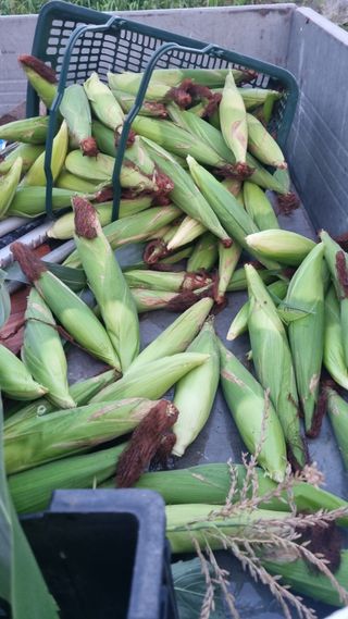 이천용님의 자유주제 · 자유게시판 작성글 사진