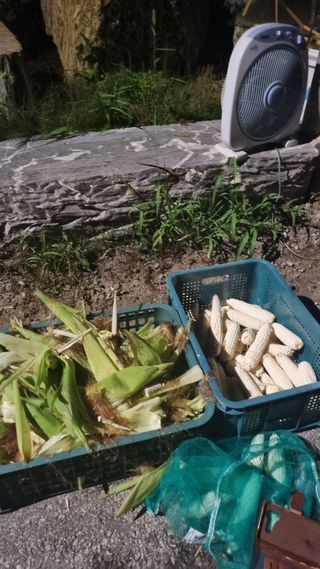 이천용님의 자유주제 · 자유게시판 작성글 사진