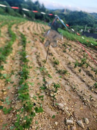 초보66님의 자유주제 · 사진전 작성글 사진