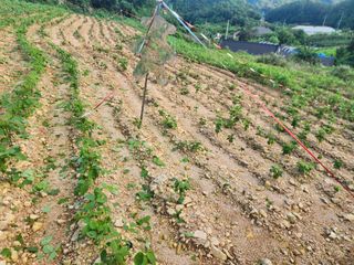 초보66님의 자유주제 · 사진전 작성글 사진