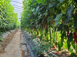 노고단님의 자유주제 · 자유게시판 작성글 사진