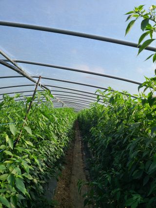 노고단님의 자유주제 · 자유게시판 작성글 사진