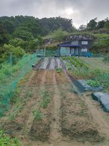 팜모닝 기타작물·병해충상담 게시글 이미지