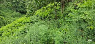 해오름달님의 자유주제 · 자유게시판 작성글 사진