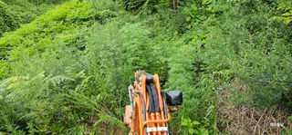 해오름달님의 자유주제 · 자유게시판 작성글 사진