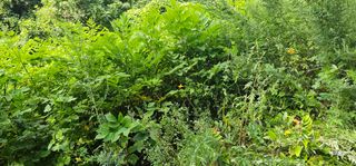 해오름달님의 자유주제 · 자유게시판 작성글 사진