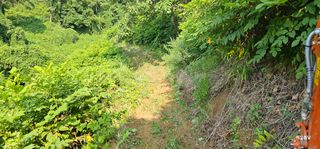 해오름달님의 자유주제 · 자유게시판 작성글 사진