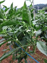 팜모닝 자유주제·자유게시판 게시글 이미지