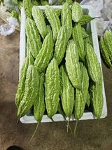 팜모닝 자유주제·칭찬해요 게시글 이미지