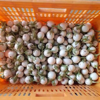 공심채님의 자유주제 · 칭찬해요 작성글 사진