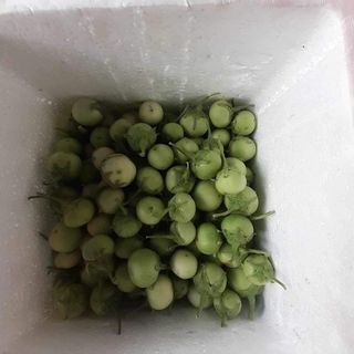 공심채님의 자유주제 · 칭찬해요 작성글 사진