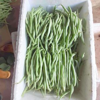 공심채님의 자유주제 · 칭찬해요 작성글 사진