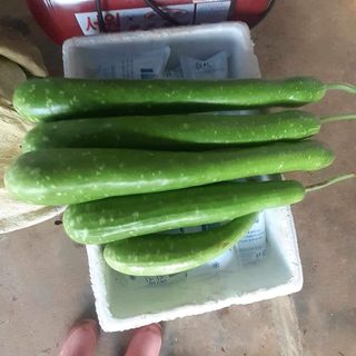 공심채님의 자유주제 · 칭찬해요 작성글 사진