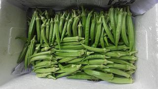 공심채님의 자유주제 · 칭찬해요 작성글 사진