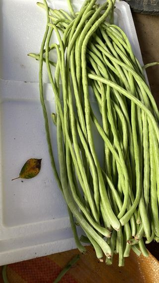 공심채님의 자유주제 · 칭찬해요 작성글 사진