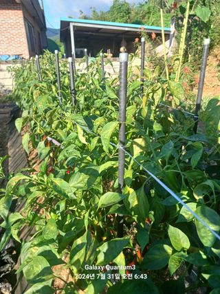 전진규.해돋이님의 요즘 무엇에 관심있나요? · 참여글 작성글 사진