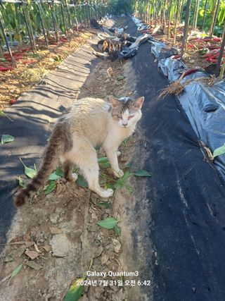 전진규.해돋이님의 요즘 무엇에 관심있나요? · 참여글 작성글 사진