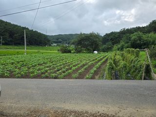 藝園님의 기타작물 · 영농일지 작성글 사진