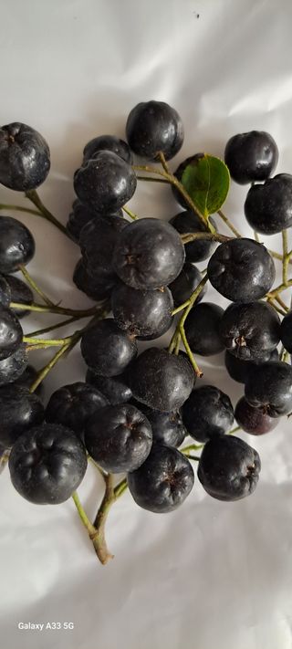 소녀시대(중구)님의 작성글 사진