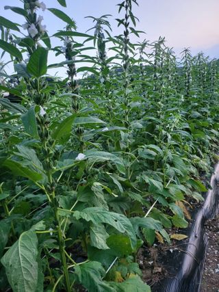 김경순님의 요즘 무엇에 관심있나요? · 참여글 작성글 사진
