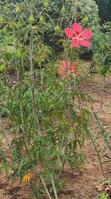 팜모닝 요즘 무엇에 관심있나요?·참여글 게시글 이미지