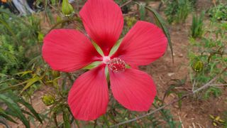 김종만님의 요즘 무엇에 관심있나요? · 참여글 작성글 사진