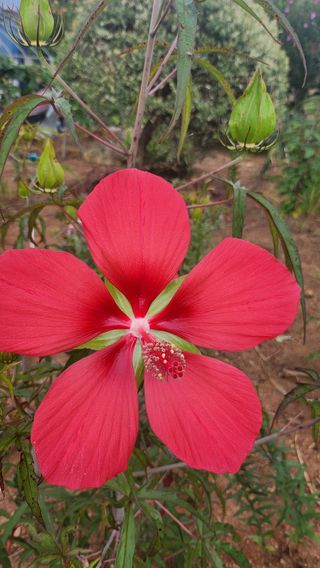 김종만님의 요즘 무엇에 관심있나요? · 참여글 작성글 사진