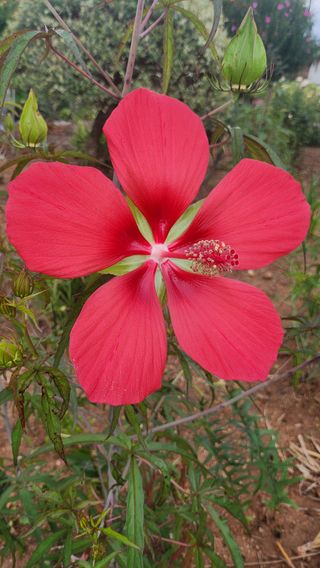 김종만님의 요즘 무엇에 관심있나요? · 참여글 작성글 사진