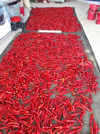 들깨18888님의 요즘 무엇에 관심있나요? · 참여글 작성글 사진