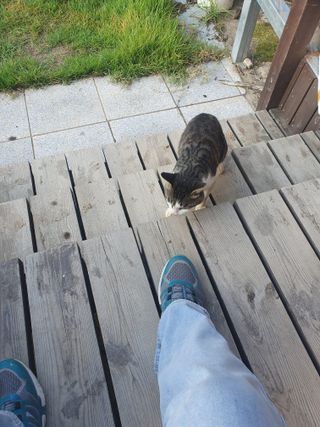 김철원,바람산인님의 자유주제 · 자유게시판 작성글 사진