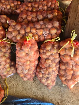 자연인님의 자유주제 · 자유게시판 작성글 사진