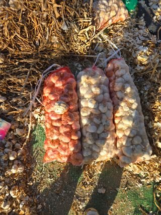 자연인님의 자유주제 · 자유게시판 작성글 사진