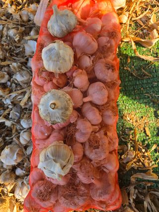 자연인님의 자유주제 · 자유게시판 작성글 사진