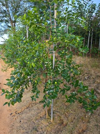 자연인님의 자유주제 · 자유게시판 작성글 사진