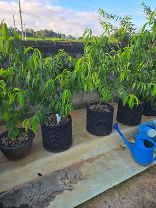 자연인님의 자유주제 · 자유게시판 작성글 사진