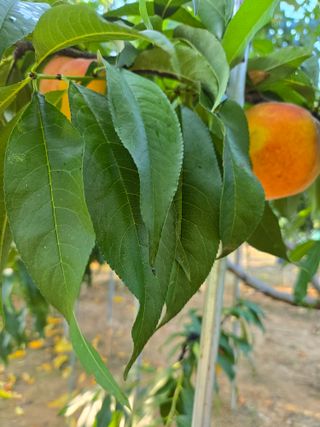 자연인님의 자유주제 · 자유게시판 작성글 사진