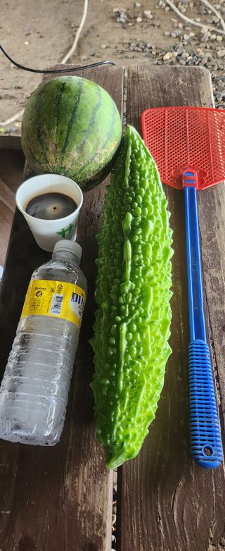 장기수님의 자유주제 · 자유게시판 작성글 사진