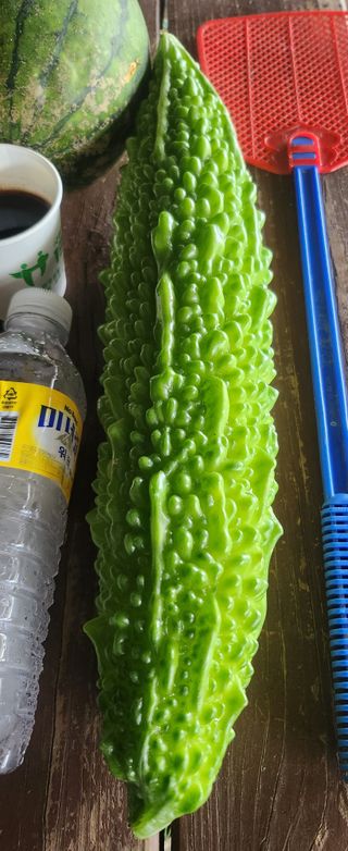 장기수님의 자유주제 · 자유게시판 작성글 사진